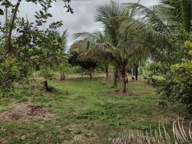 #027 - Áreas rurais para Venda em Porto Velho - RO