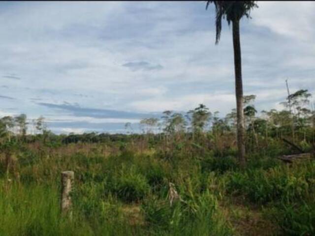 #141 - Fazenda para Venda em Porto Velho - RO