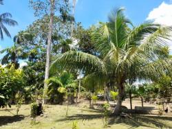 #522 - Áreas rurais para Venda em Porto Velho - RO