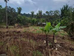 #1021-1 - Áreas rurais para Venda em Porto Velho - RO